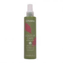 Spray Sellador Colour Care 200ml Echosline